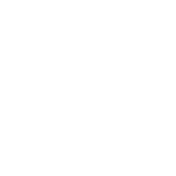 ce logo Fontana